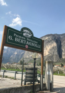 Bertagnoli sign