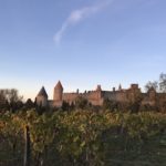vineyards and city of Carcassone France