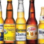 Corona Modelo Beer Family
