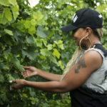 Mary J. Blige has launched Sun Goddess Wines.