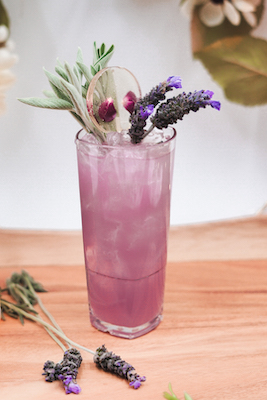 The Lavender cocktail at Crimson in Bloom.