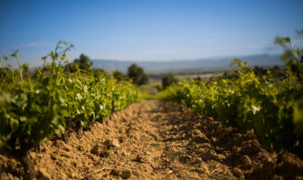 Gérard Bertrand's Clos D'Ora vineyards in the South of France