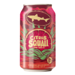 Dogfish Head Citrus Squall beer