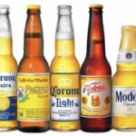 Mexican beer brands