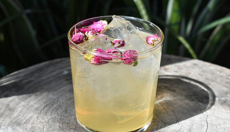 Rhubarb Rose G&T cocktail