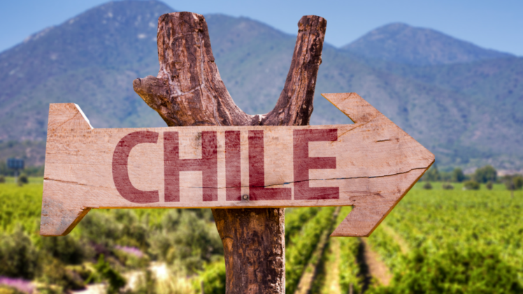 vineyard sign with arrow that says Chile