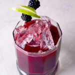 Blackberry Basil Spritzer