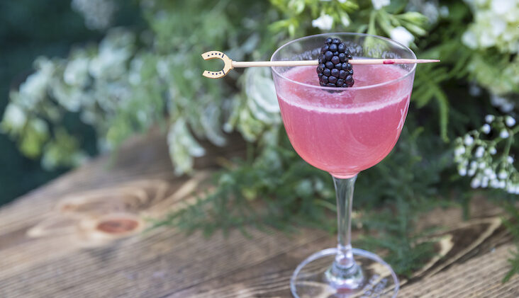 blackberry-sage-cocktail